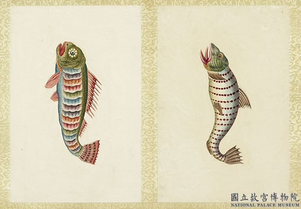 海怪圖記　冊　怪魚十一；怪魚十二